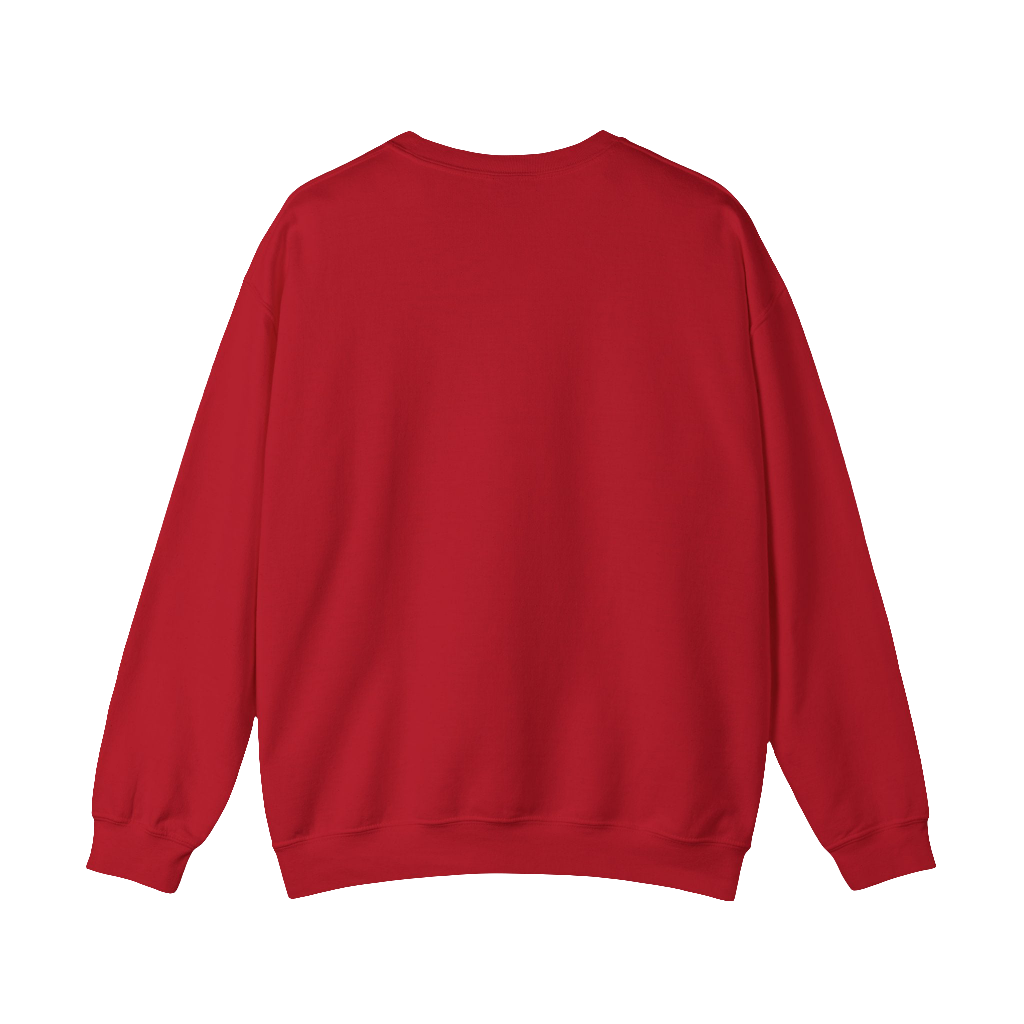 NACHO LIBRE EINSTEN SWEATSHIRT
