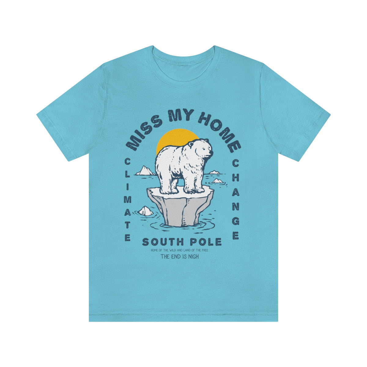 South pole